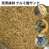 楽天市場】クルミ床材（ペット・ペットグッズ）の通販
