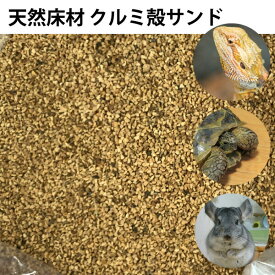 爬虫類 小動物 クルミ殻サンド 【1kg(500g×2通)(約2.5L)】 細粒 くるみ殻 トイレ砂 両生類 床材 敷き材　リクガメ トゲアオガマ メール便送料無料【DBP】