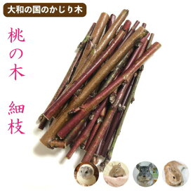 楽天市場 かじり木 梨の通販