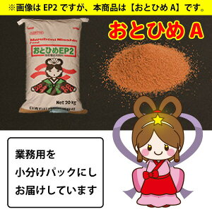 ۍg ƂЂA(0.25mmȉ) 100g ~ _Ĵ͂ P t̉a Obs[̃GTyTHBz