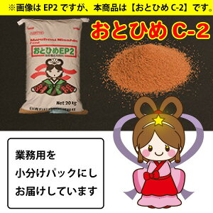 [֑ ƂЂ C-2 (0.91-1.41mmȉ) 100g ~ _Ĵ͂ P t̉a Obs[̃GTyTHBz