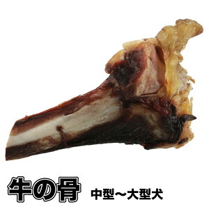 【形状おまかせ】国産 無添加 乾燥 牛の骨(国産牛) 極太1本 犬 牛骨 中型〜大型犬 おやつ ハスキー シェパード【DBP】