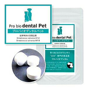 yPETzNbN|XgFyv~AXC\zvoCI@f^PET@Lp@i60jyPSz