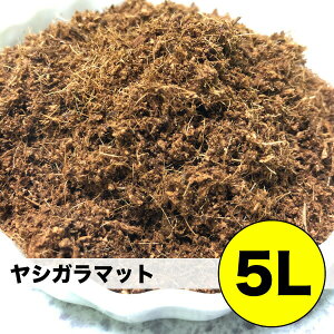 最安挑戦 ヤシガラ ヤシガラマット 【5L】 爬虫類 両生類 小動物 昆虫 床材 敷き材 細かい ふわふわ ハスク パームマット トカゲ イグアナ 送料無料【DBP】