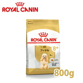 ロイヤルカナン　BREED　プードル　中・高齢犬用（8歳以上）　800g【ロイヤルカナン（ROYAL CANIN）/ドライフード/高齢犬用（シニア）・プードル専用/ペットフード/DOG FOOD/ドッグフード】【39ショップ】