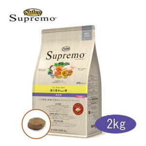 }\10OFFVv@^p@p@2kgyhbOt[h/hCt[h/pEA_g/NutroESpremo/ybgt[h/DOG FOOD/^p/Kiz