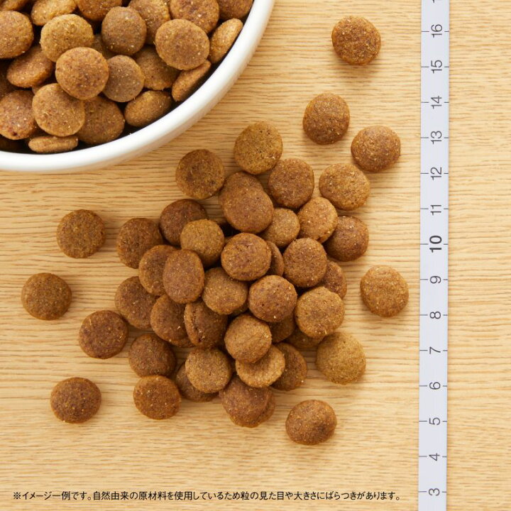 楽天市場】ナチュラルチョイス 子犬用 妊娠中・授乳中の母犬にも 大型 