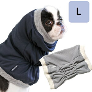 yǐՉ\[։zƐ@oOK[hXk[h@Lyh/ی앞/ybgpi/ybgObYz