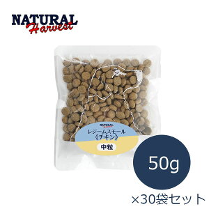 i`n[xXg@W[X[`L@50g×30܁yW[X[zy|Cg10{zyhbOt[hEE_CGbgEʁEHÖ@HEJ[EhCt[hEy