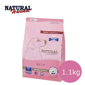 ʌ10OFFN[|i`n[xXg@LhjA@1.1kgyhbOt[hEhCt[hEybgt[hEEVjAEtE^pNE ჊EigEzyyb