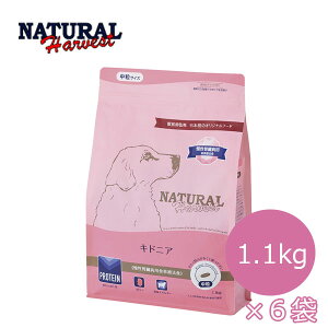 ʌ10OFFN[|y܂Ώۏizi`n[xXg@LhjA@1.1kg×6܁y|Cg10{zyhbOt[hEhCt[hEybgt[hEEVjAEtE^