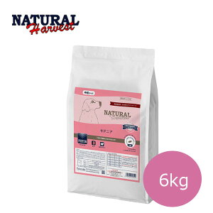 ʌ10OFFN[|y܂Ώۏizi`n[xXg@LhjA@6kgy|Cg10{zyhbOt[hEhCt[hEybgt[hEEVjAEtE^pN