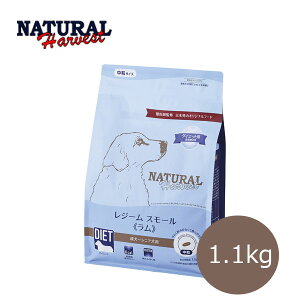 i`n[xXg@W[X[@1.1kgyhbOt[hEE_CGbgEʁEHÖ@HEJ[EhCt[hEybgt[hz