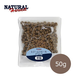 y4܂ŒǐՉ\[։zi`n[xXg@W[X[@50gyhbOt[hEE_CGbgEʁEHÖ@HEJ[EhCt[hEybgt[hz