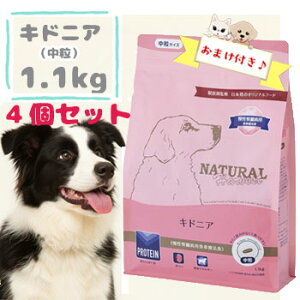 ʌSS10OFFN[|y܂Ώۏizi`n[xXg@LhjA@1.1kg×4܁@hbOt[h hCt[h ybgt[h  VjA t ^pN ჊ ig