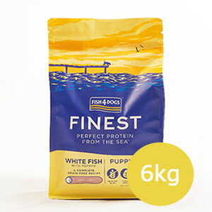 y|Cg10{ztBbV4hbO Fish 4 dogs t@ClXg@ps[@@6kgy/hCt[h/qp(ps[Ecpj/ꌢ/sgpiOCt[j/ybgt[h/hbO