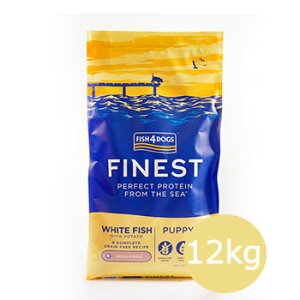 y|Cg10{z tBbV4hbO Fish 4 dogs t@ClXg@ps[@@12kgy/hCt[h/qp(ps[Ecpj/ꌢ/sgpiOCt[j/ybgt[h/hbO