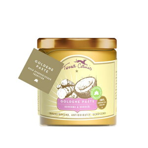 }\10OFFeJjX@y[XgTv@S[fy[Xg@250gyTvg/gbsO/Nێz