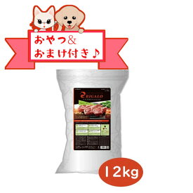 ★マラソン限定クーポン配布中★【おまけとおやつ付】リガロ 　ハイプロテインレシピ　 子犬 成犬用 ラム 12kg【ライトハウス/ドッグフード/ペットフード/DOG FOOD/ドックフード】
