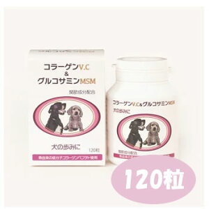 c킸I10OFFN[|݂̕ɁuR[QV.CORT~MSMv120@p Tvg ֐߃PA RhC` R[Q r^~C ORT~ MSM VjA V 