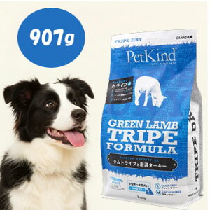 c킸I10OFFN[|ybgJCh@gCvhC@O[gCv@907g@ ^pN Y pt[h S SNΉ OCt[ hbOt[h