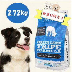 c킸I10OFFN[|y܂tzybgJCh@gCvhC@O[gCv@2.72kg@ ^pN Y pt[h S SNΉ OCt