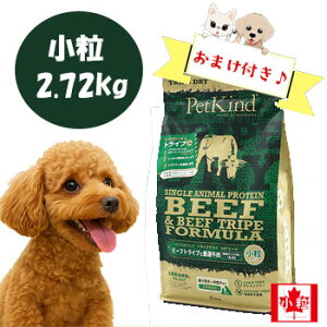 c킸I10OFFN[|y܂tzybgJCh@gCvhC@O[r[tgCvSAP @@2.72kg@phCt[h Y ^pN sgp v~A