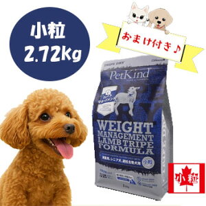 yʌ10OFFN[|zy܂tzybgJCh@gCvhC EFCg}l[Wg SAP gCv@2.72kg@hbOt[h p ̏dǗ _CGbg OCt[ 