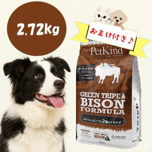 c킸I10OFFN[|y܂tzybgJCh@gCvhC@O[gCvoC\@2.72kg@phCt[h ^pN Y hbOt[h Ki