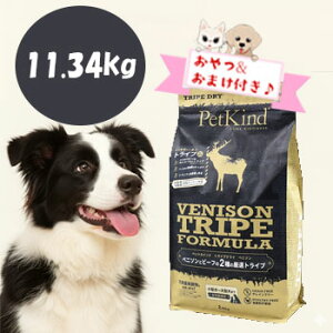 10OFFN[|y܂ƂtzybgJCh@gCvhC@O[xj\gCv@11.34kg@hbOt[h pt[h OCt[ hCt[h sgp 