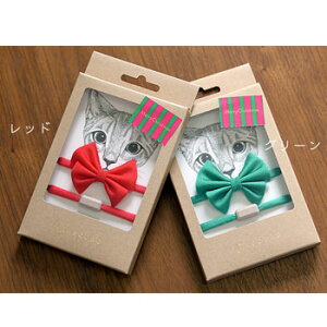 c킸IN[|zz[`F@{@-pXe- 2021 NX}X@O[y/NX}XzyybgpiEybgObY/L/Lpiz