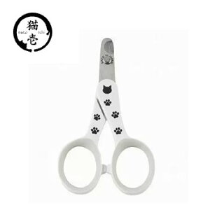 c킸I10OFFN[|L@XgXȂXpbƐ؂Lpܐ؂@{yLpi/L/ybgpi/PApiz