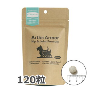 c킸I10OFFN[|y|Cg10{zlC`[xbg A[XA[}[@120y؁zyTvg/֐߃PAz