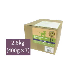 ★マラソンSALE★ウェルネスヘルシーバランス　子猫用(離乳期〜1歳)　穀物不使用骨抜きチキン　2.8kg【キャットフード/ドライフード/キトン/子猫/グレインフリー】