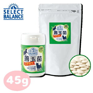 ZNgoX Pʋۂ̃`J Lpi^ubgj45gyybgpTvg/ybgpi/pi/Lpiz