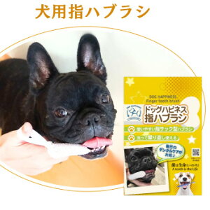 puV hbOnslXwnuV@PApi uV ybgpi pi  wTbN hbOnslXwnuV nuVV[g ݂ ݂WF ₷ |