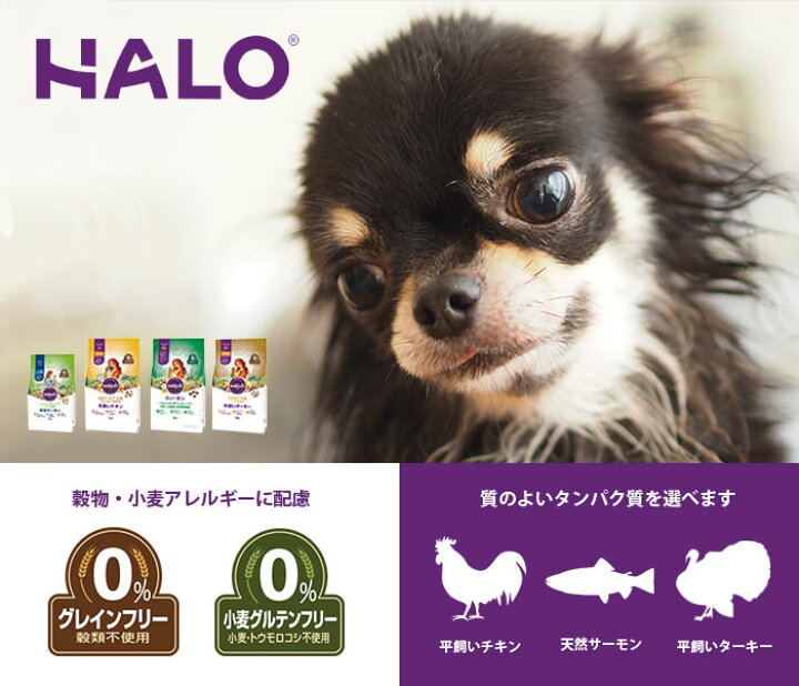 楽天市場 おまけ付 Halo ハロー 犬 エイジングケア7 平飼いチキン グレインフリー 1 8kg 送料無料 高齢犬 ドッグフード プレミアムフード シニア 7才以上 食物アレルギー 穀物不使用 ペット Halo 平飼チキン ペットウィズ わんわんぱーく 楽天市場店