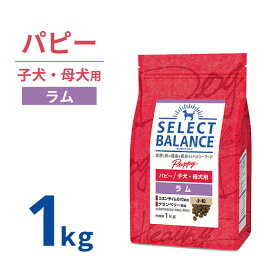 【ポイント5倍】 セレクトバランス パピー ラム 小粒 1kg ＜ 3個で 送料無料 ＞ 1才未満 1才まで 幼犬 子犬 妊娠 授乳 母犬 プレミアムフード アレルギー 食物アレルギー 犬 ドッグフード SELECT BALANCE [ 4541851005951 ]