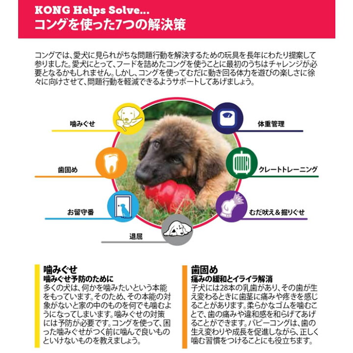 楽天市場 Max500円クーポン マラソン 今だけ限定 ボール 付き コング S コング ペースト チーズ 子犬用 セット コング 犬 犬おもちゃ チューブペースト しつけ トレーニング お留守番 ストレス解消 わんわんぱーく 楽天市場店