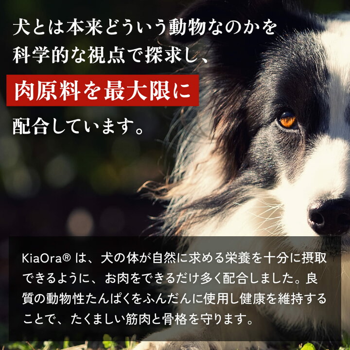 楽天市場】キアオラ ラム サーモン 2.7kg 小粒 ラム&サーモン 犬 成犬 