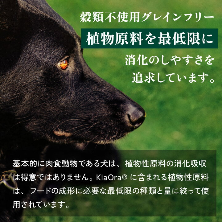 楽天市場】キアオラ ラム サーモン 2.7kg 小粒 ラム&サーモン 犬 成犬 