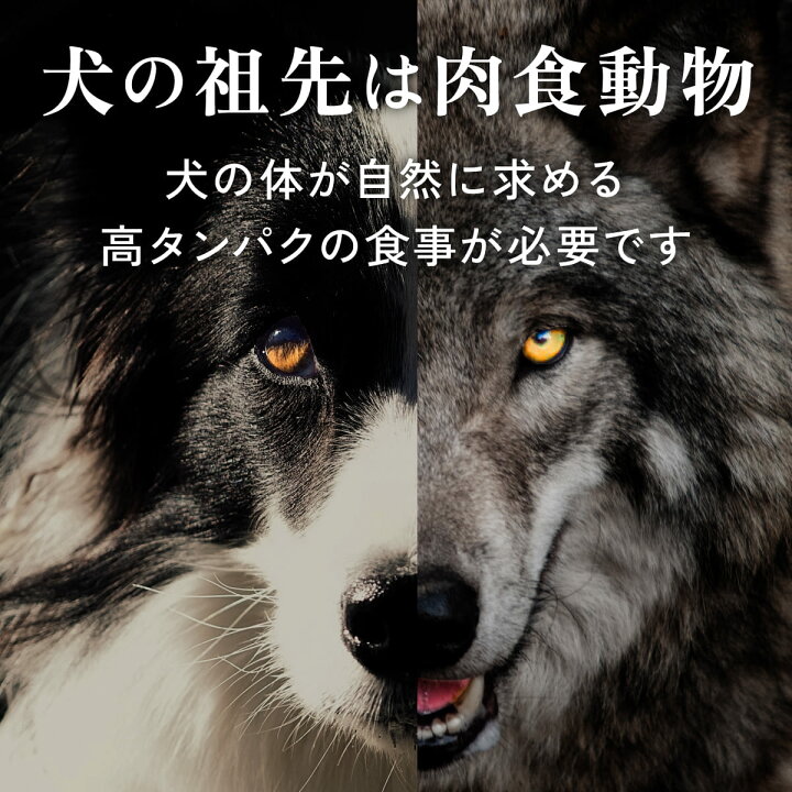 楽天市場】キアオラ ラム サーモン 2.7kg 小粒 ラム&サーモン 犬 成犬 