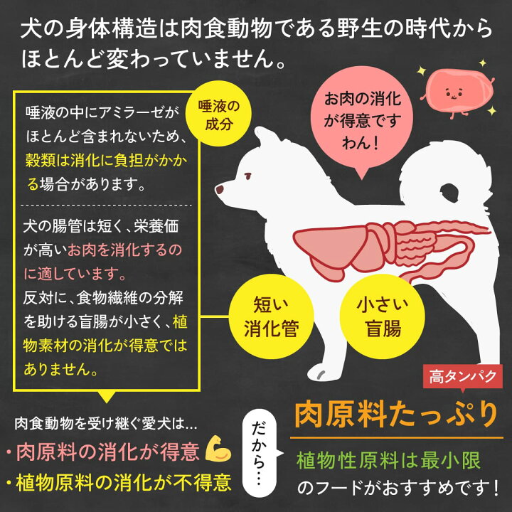 楽天市場】キアオラ ラム サーモン 2.7kg 小粒 ラム&サーモン 犬 成犬 