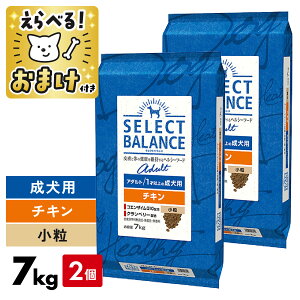 �Z���N�g�o�����X �`�L�� 7kg ���� �� 2�Z�b�g �� 7�L�� �A�_���g �y ���܂��t �z SELECT BALANCE �� �I���S�� �畆 ��� �I���K6 �I���K3 �֐� �O���R�T�~�� �R���h���C�`�� ���� �� �h�b�O�t�[�h 