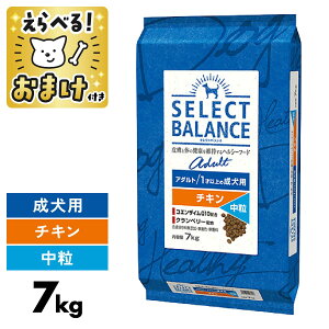 �Z���N�g�o�����X �`�L�� ���� 7kg ���^�� ��^�� 7�L�� �y �������� ���܂��t�z SELECT BALANCE �� �I���S�� �畆 ��� �I���K6 �I���K3 ���b�_ �֐� �O���R�T�~�� �R���h���C�`�� 1�� ���� �� �h�b