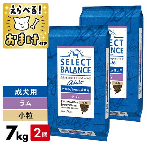 �Z���N�g�o�����X ���� 7kg ���� �� 2�Z�b�g �� 7�L�� �A�_���g �y ���܂��t �z SELECT BALANCE �� �I���S�� �畆 �I���K6 �I���K3 �֐� �O���R�T�~�� �R���h���C�`�� �� �h�b�O�t�[�h �A�����M�[ 