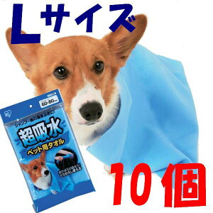 ybg ^I Vv[  z zybgp^I LTCYCKT-L×10Zbg[EFbgeBbV ̂ӂ^I @ ACXI[} JԂ x]h   ЊQ