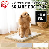 [ベージュのみ販売] 犬 トイレトレー 小型犬 幅35 奥行48.2 ペットトイレ スクエアドッグトレー レギュラ…