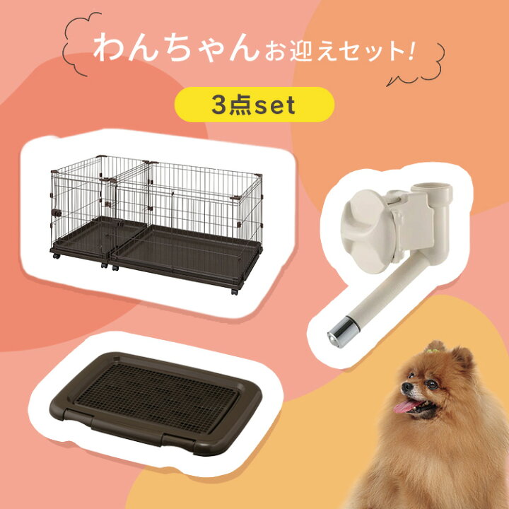 楽天市場】＼初心者さんでも安心♪／ 犬 ケージ スターターセット 3点 