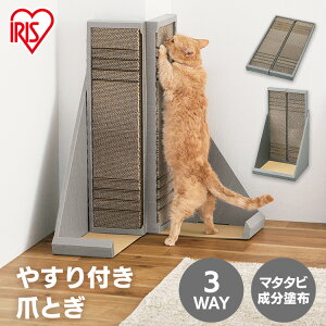 L ܂Ƃ ܌ _{[ ₷t܂Ƃ ACXI[} uE P-YT650 ܂Ƃ ܖ ܖ ܂ }^^r z ˂ lR XgX lV  CATSCRATCHER 